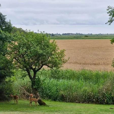 Semesterbostad Thatched Near The North Sea