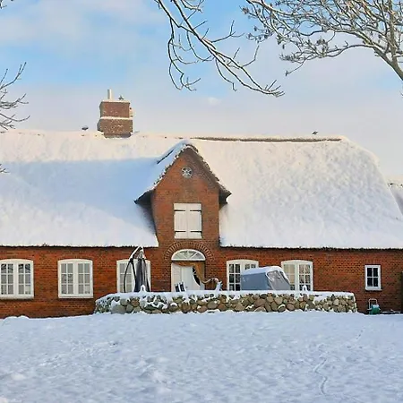 Thatched Near The North Sea